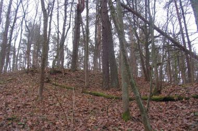 Pėsčiųjų žygių mėgėjams – rudens palydos Pavilnių regioniniame parke