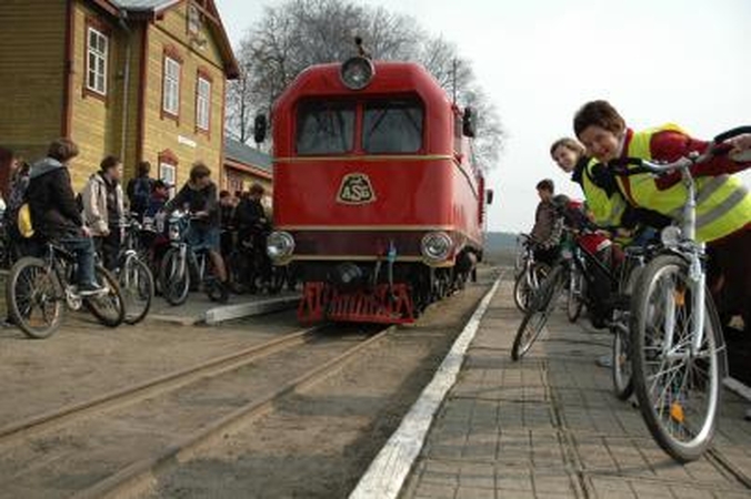 Pavogta dalis traukinio siauruko bėgių