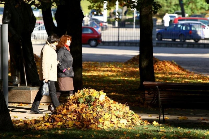 Miesto gatves nuklojusius lapus išveš už 90 tūkst. litų