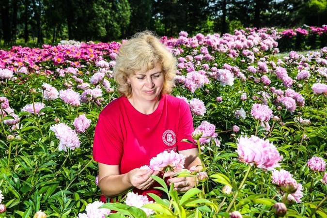 Pasigrožėti bijūnų žydėjimu – į Botanikos sodą