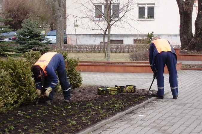 Palangos komunalininkai jau rengiasi artėjančiai vasarai