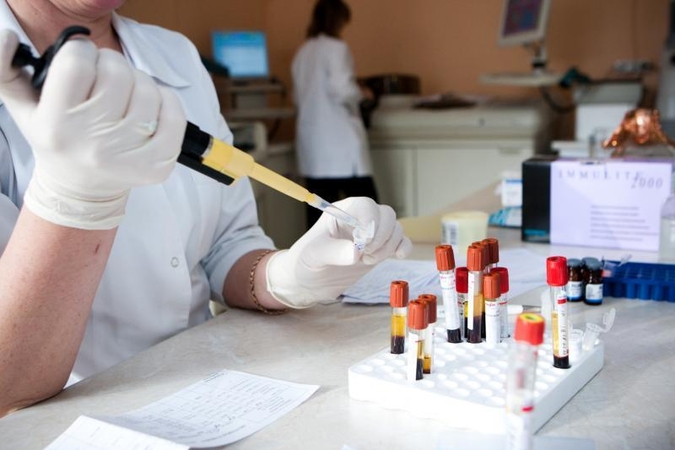 Genetiškai modifikavo ryžius dirbtinio kraujo gamybai