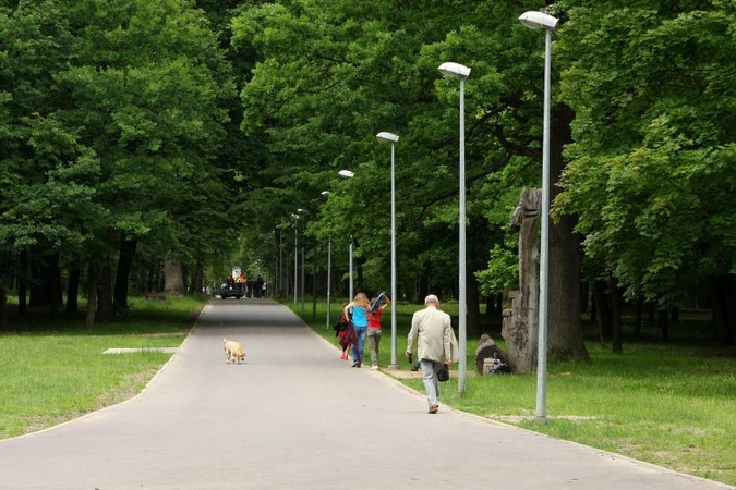 Naujų suoliukų Ąžuolyne dar teks palaukti
