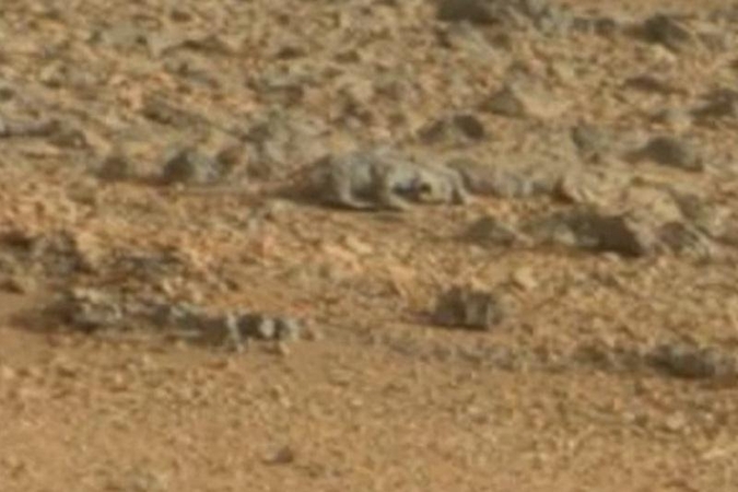 „Curiosity“ nuotrauka iš Marso: kiek driežų matai? (1, 2, ar daugiau?)