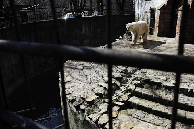 Zoologijos sodo ateities planus pieš už ketvirtį milijono