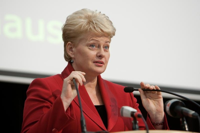 Prezidentė apie Vyriausybę: jei tik turėčiau geresnę alternatyvą