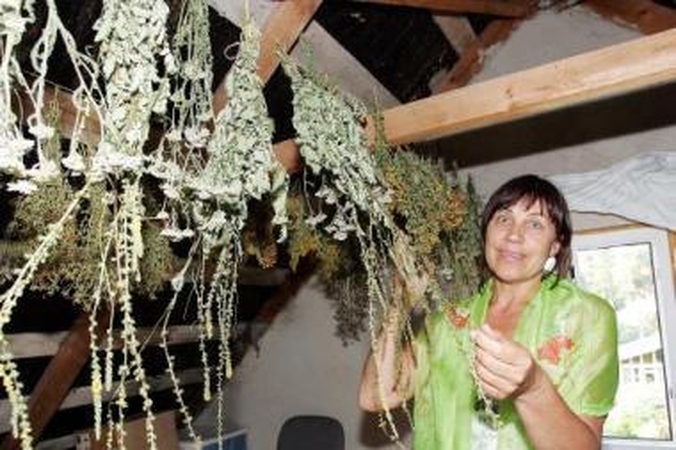 Žinios: A.Karaliūnaitė įsitikinusi, kad žmones gydo ne tik žolės, bet ir žinios, kaip jomis naudotis.