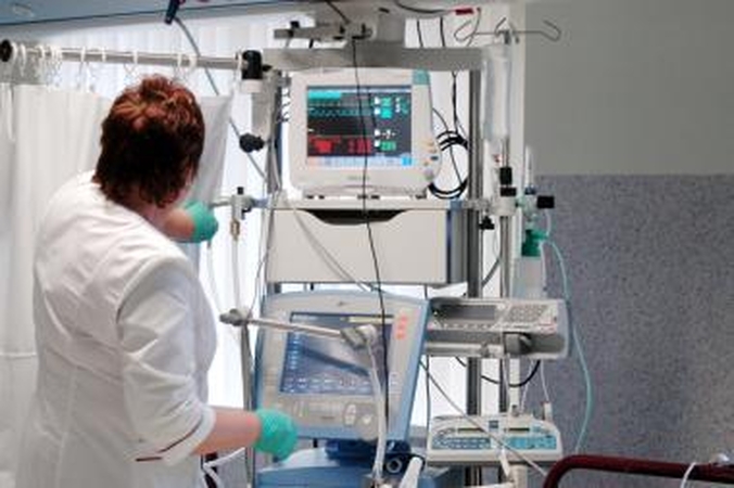 Mediko nuomonė: mūsų valstybėje galioja džiunglių įstatymai