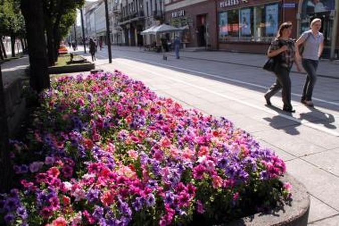 Kauno gėlių festivalis - ar turistai susidomėtų tokiu renginiu?