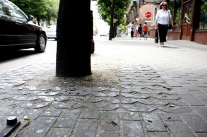 Kenkėjai: vyraujant šiltiems orams, ant šaligatvių pradėjo varvėti lipni amarų išskiriama masė.