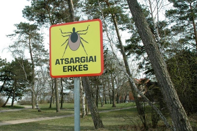 Uostamiesčio       orai - kraujasiurbių naudai