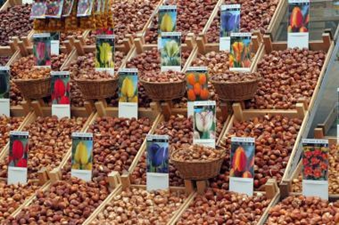 Sodininkams ir daržininkams – tuoj darbymetis