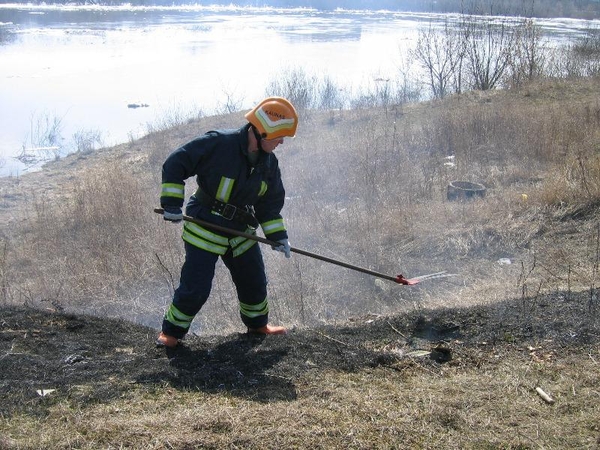 Kas kaltas dėl deginamos žolės