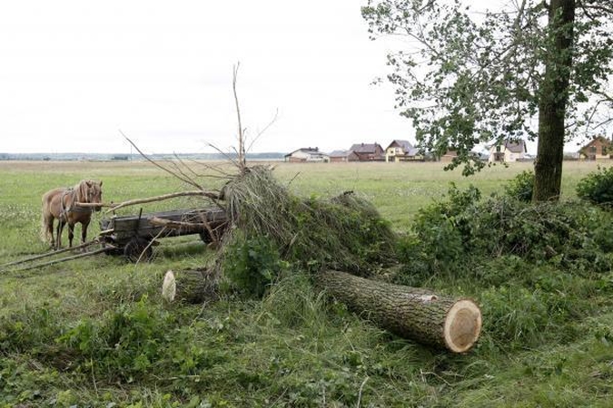 Apsėmė: antradienio pavakarę patvino ir Klaipėdos daugiabučių kiemai.