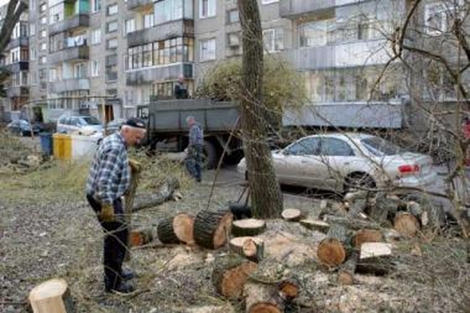 Konfliktas: gyventojai skundėsi, kad V.Krėvės pr. nelegaliai genėjami medžiai, tačiau darbininkai pateikė visus būtinus leidimus.