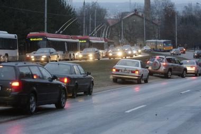 Dygliai bus reabilituoti
