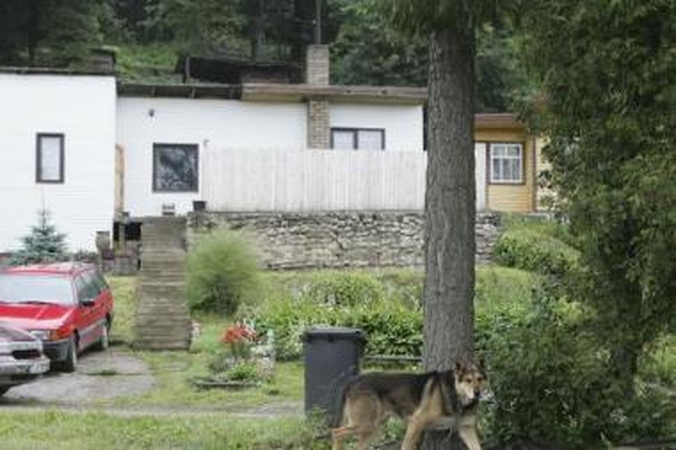 Sargyba: dažno sodininko ginklas nuo vagių – šuo.