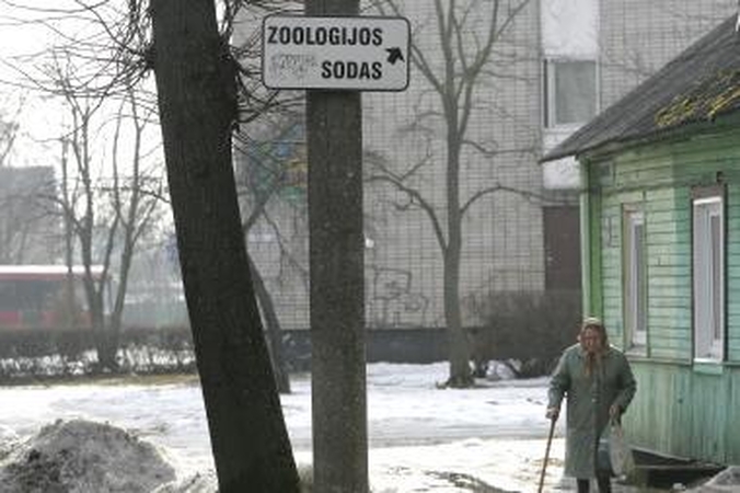 Kaune svečiui parduotuvę rasti lengviau nei Klinikas
