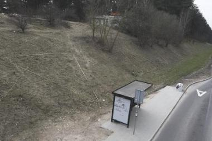 Pagražins: jau vasarą šioje vietoje turėtų žydėti gėlės.