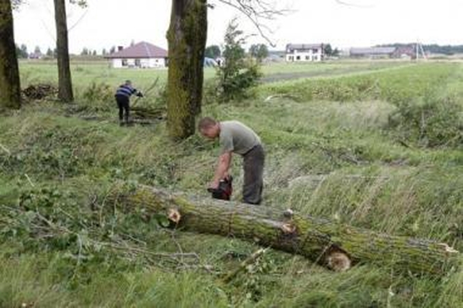 Nuostoliai: Klaipėdos rajone daugiausia žalos padarė vėtros išversti medžiai.