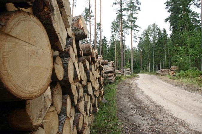 Dėl valstybinės medienos – aršūs  ginčai