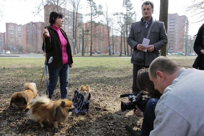 Tikrintojų taikiklyje – uostamiesčio šunų augintojai