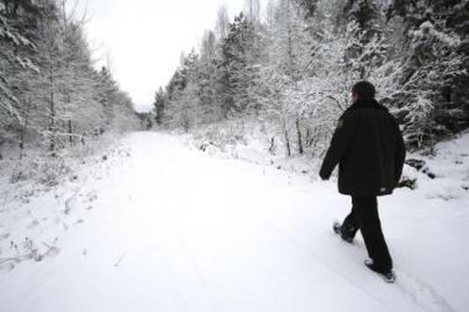 Vogti miškai – atgal valstybei?