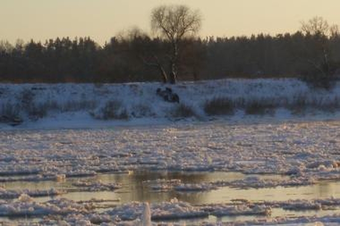 Prie Nemuno – tarsi trileryje