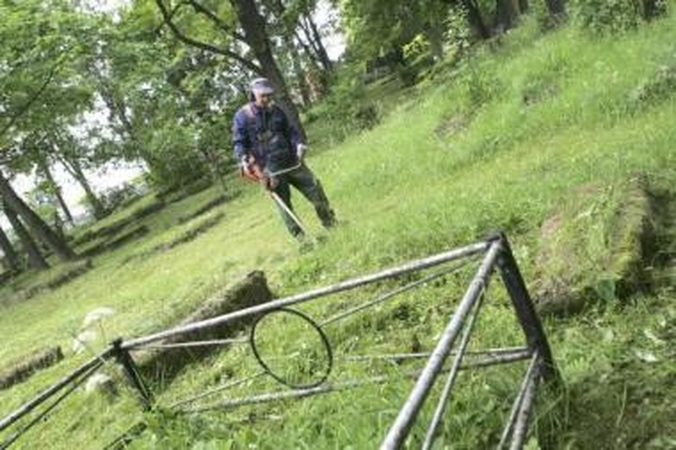 Sutvarkė: "Kapinių priežiūros" darbuotojai Žemųjų Šančių kapinių žolę nupjovė tik žurnalistams paraginus.