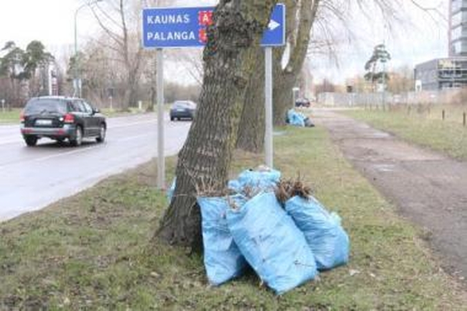 Palikimas: Minijos gatvėje į mėlynus maišus sukrautos šiukšlės verčia manyti, kad tai šeštadienį akcijos metu surinktos atliekos.