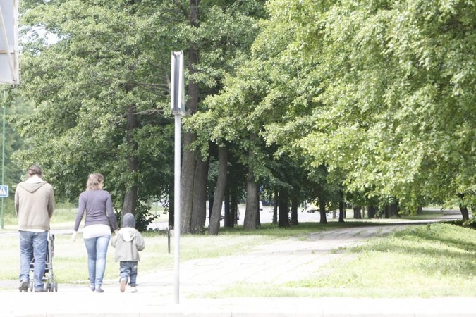 Pėsčiųjų takus Klaipėdoje paslėpė medžių šakos