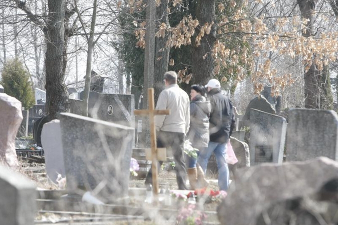 Kapinėse – kova dėl erdvės negailestinga