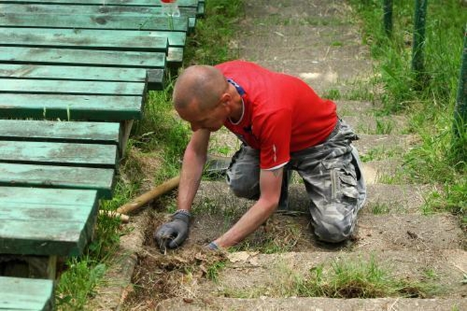 Pinigų dalybos: kaip seniūnijos panaudos gautas lėšas?