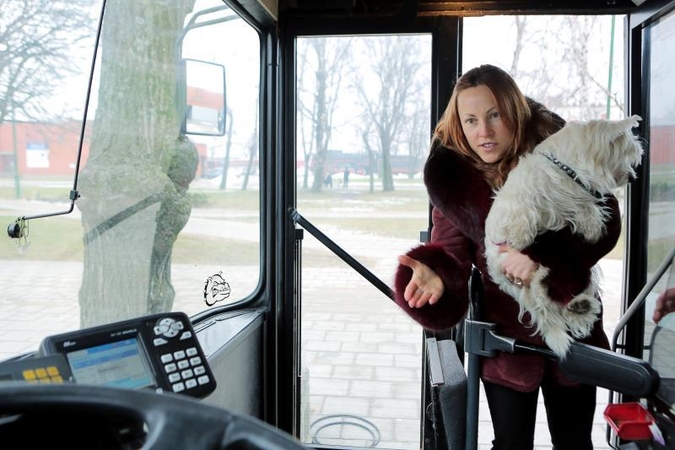 Dėl šuns – lauk                     iš autobuso