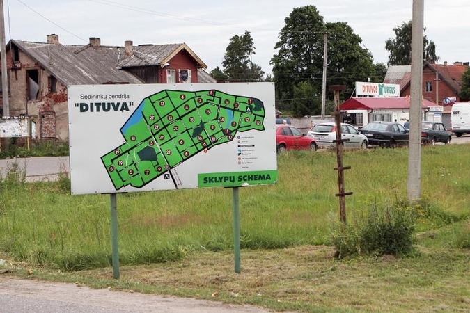 Sūnaus baimė dėl mamos žmogžudystės buvo nepagrįsta
