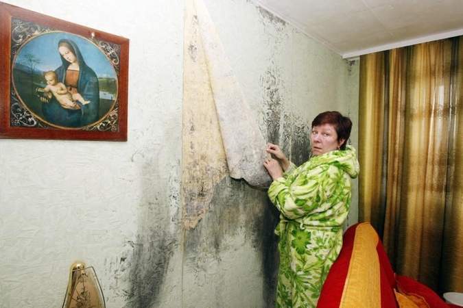 Klaipėdietės kova su   pelėsiu – bevaisė   