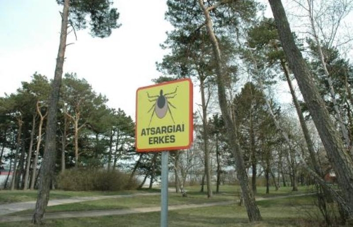 Erkės ruošiasi grybų                        sezonui