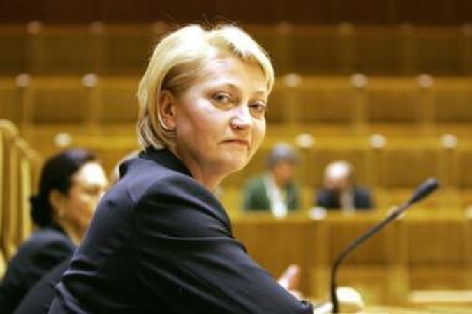 Valstybės investicijų liūnas