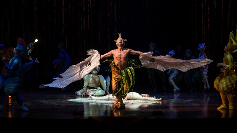 Po „Cirque du Soleil“ spektaklio „Varekai“ – žiūrovų emocijų antplūdis 