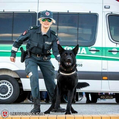 Pasiklydusią senolę netruko surasti tarnybinis šuo